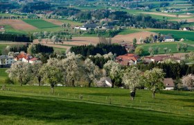 Photo point Birnbaumzeile Karl Lammerhuber View, &copy; schwarz-koenig.at