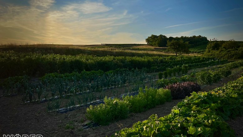 Garden Restaurant Wöber