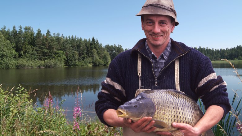 A man holds a large carp in front of a pond with a forest in the background.