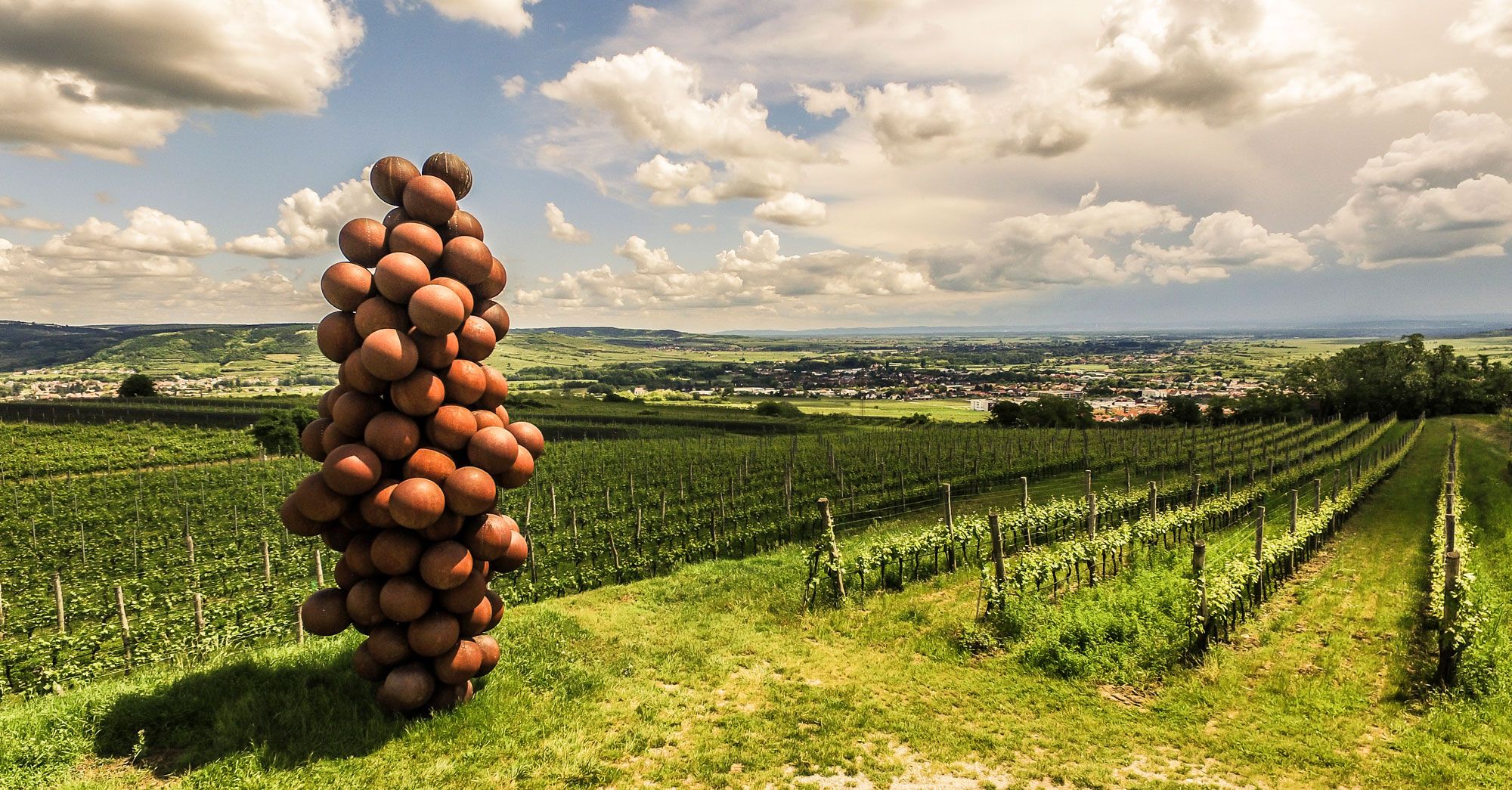 Sculpture made of balls in the shape of a bunch of grapes on a vineyard with a view of a landscape.