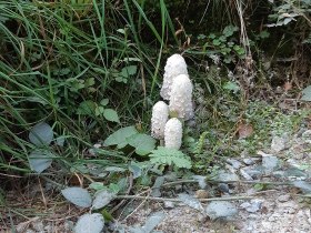 Steinbruchweg, &copy; Marktgemeinde Hoheneich