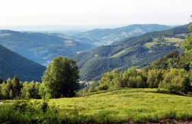 Panoramic view of green hills and valleys from the Muckenkogel.