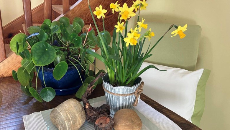 Guest house on the vineyard, © Familie Schlager