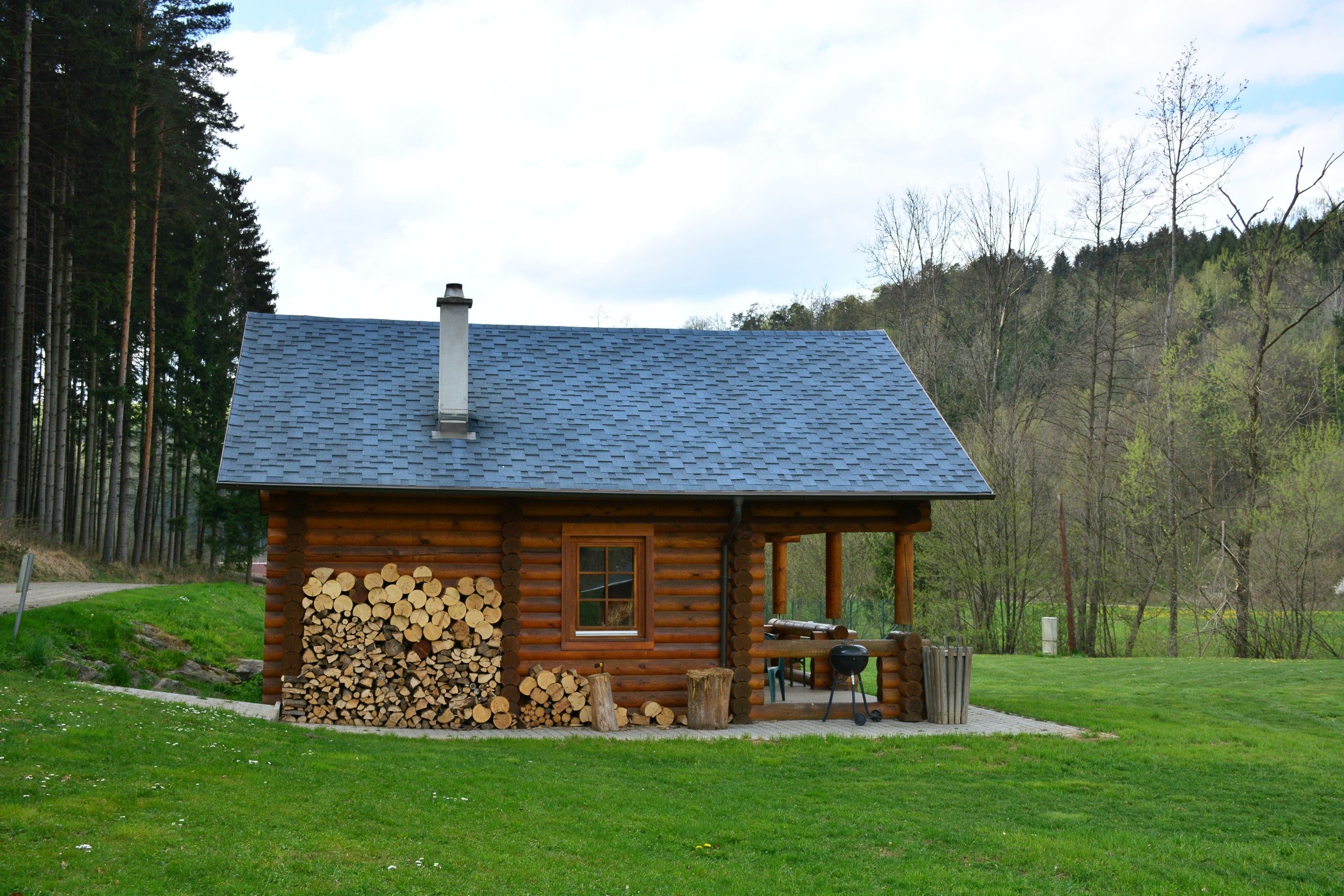A log cabin with woodpile and barbecue in the countryside, surrounded by trees.
