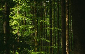 Lebensweg, Wandern, Weitwandern, &copy; Waldviertel Tourismus, Melanie T&ouml;bbe