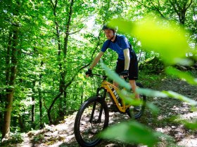Mountainbiker auf dem Singletrail, &copy; Donau N&Ouml; Tourismus/Barbara Elser