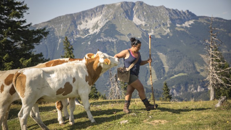 View of the &Ouml;tscher, &copy; Theo Kust