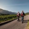 An elderly couple walks with sticks on a path through vineyards, with mountains and blue sky in the background.