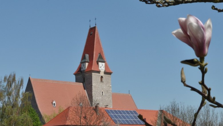 Church with red roof and clock tower, blue sky, magnolia blossom in the foreground.