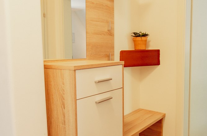 Modern hallway with wooden cupboard, mirror and plant.