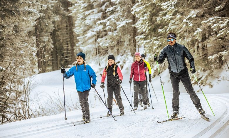 Four people cross-country skiing on a snow-covered trail in the forest.