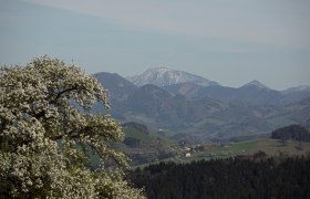 Photo point Ötscher, © schwarz-koenig.at