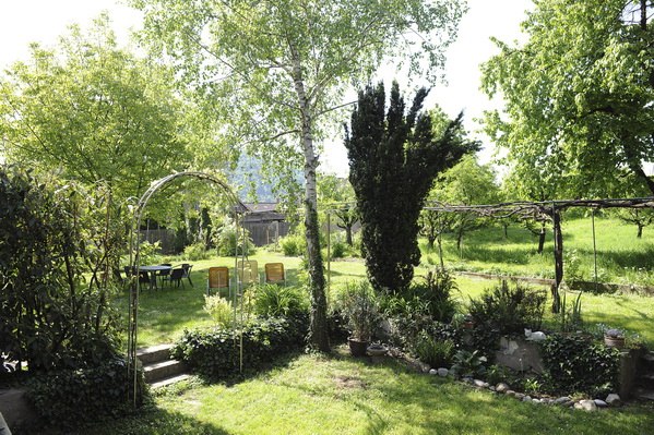 A green garden with trees, shrubs and garden furniture in the sunshine.