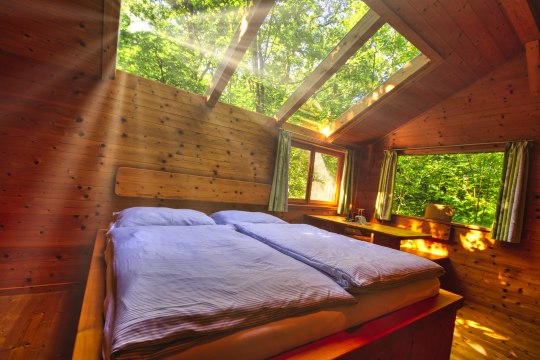 in Ochy's forest hut, © Ochys