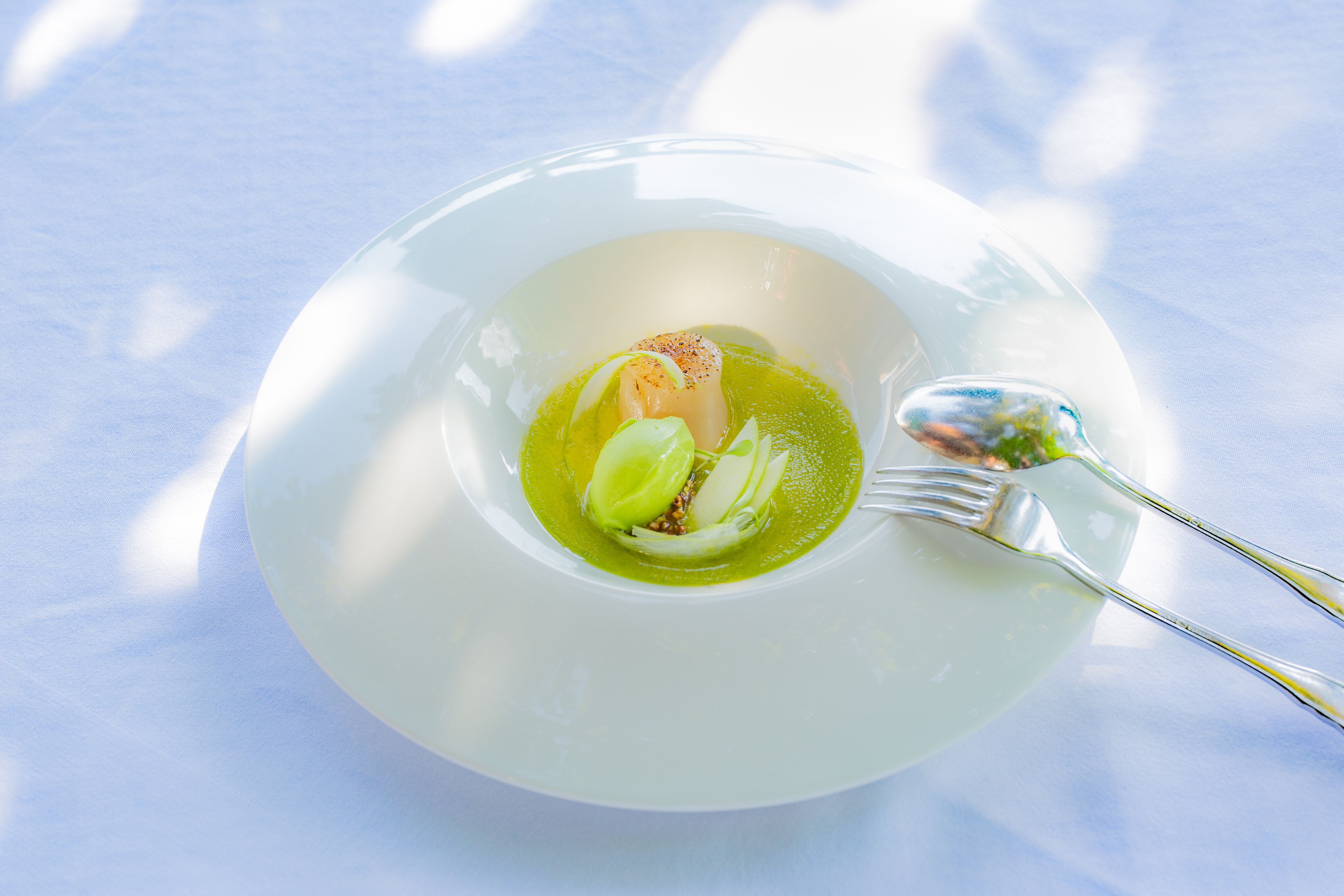 An elegant dish on a white plate with green sauce, a scallop and green garnish, served on a white tablecloth.