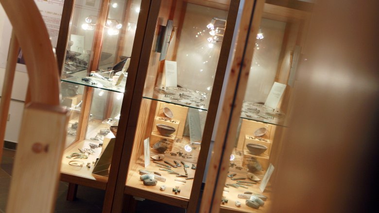 Display case in the prehistoric museum with prehistoric artifacts.