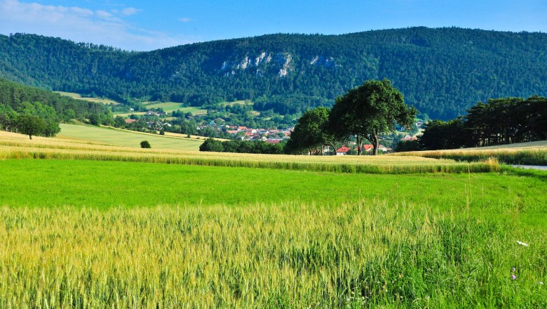 Green fields and forests in the Sierningtal-Flatzerwand Nature Park with a village in the background.