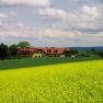 A farm with red roofs surrounded by green fields and yellow flowers under a cloudy sky.
