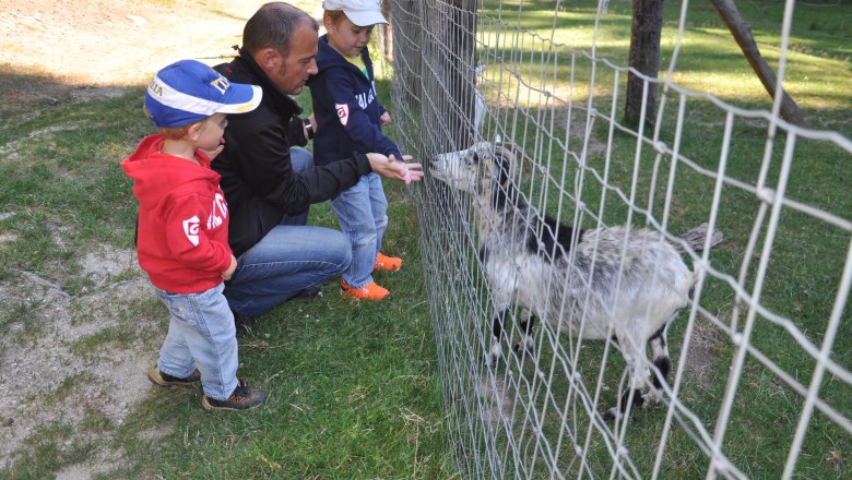 Animal enclosure, &copy; Reinhard Nieder