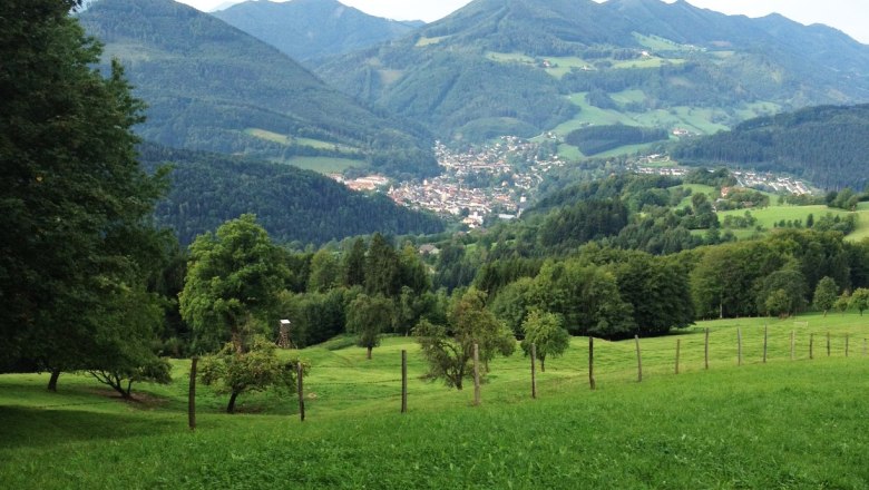 View from the Gschnaider H&ouml;he of a green landscape with mountains and a village in the valley.