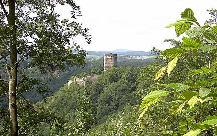 Schauenstein ruins on a wooded hill surrounded by trees.