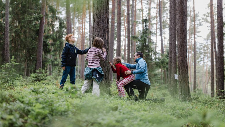 A group of children and an adult in the forest looking at a tree.