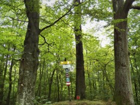 H&ouml;rstation Drei Hotter, VIA.CARNUNTUM., &copy; Unknown