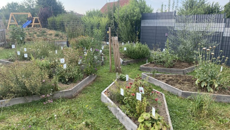 Herbal star, &copy; Barbara Weilguni