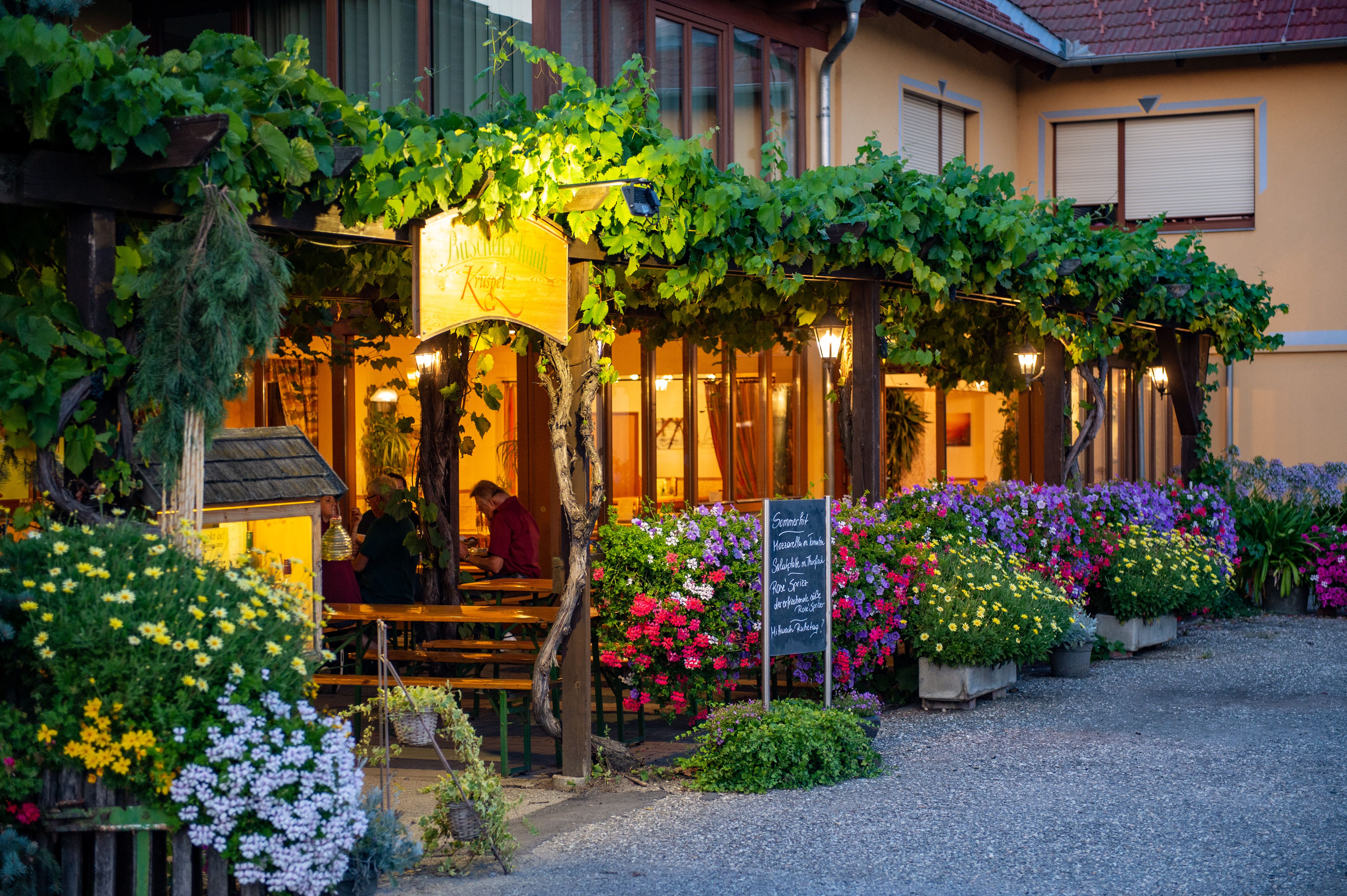 A cozy garden with flowering plants and vines, illuminated by warm light. People sit at wooden tables under a pergola.