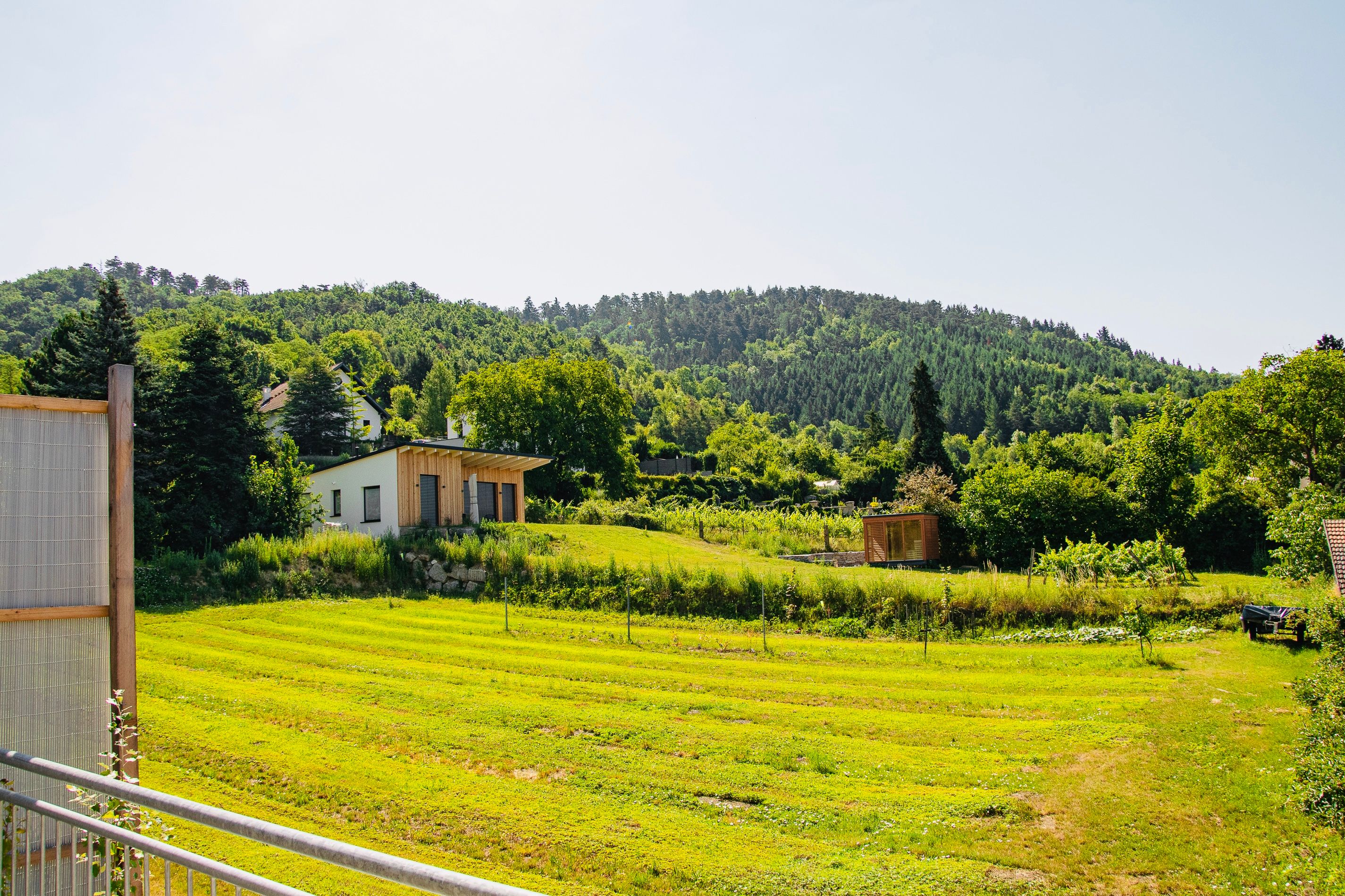 DSC_1108(1)