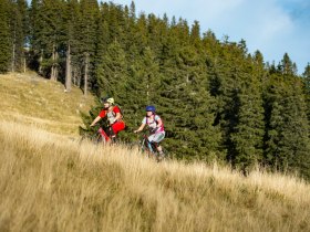Haller Route by Wexl Trails #15, &copy; Wexl Trails