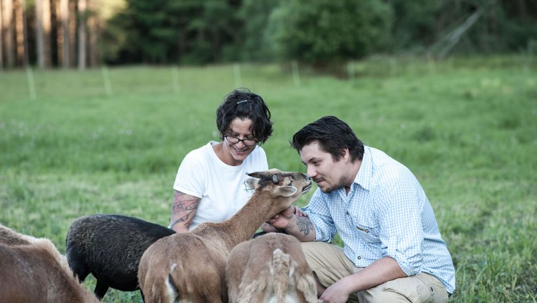 The camera sheep at the Edermühle - petting sheep calms you down, © Josef Herfert