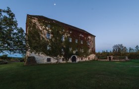 Old building overgrown with ivy, surrounded by meadow and trees, with moon in the sky at dusk.