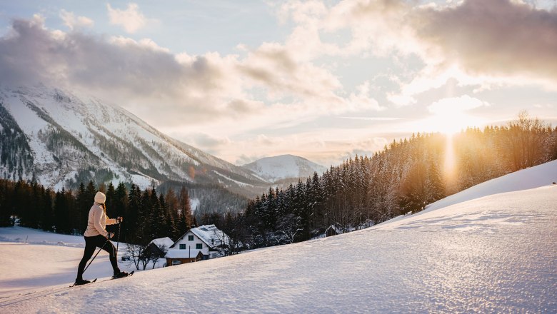 Nestelberg 17, © Sabine Wieser