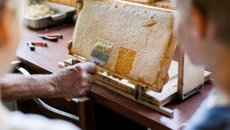 Vacation at the Zwergerlhof, © schwarz-koenig.at