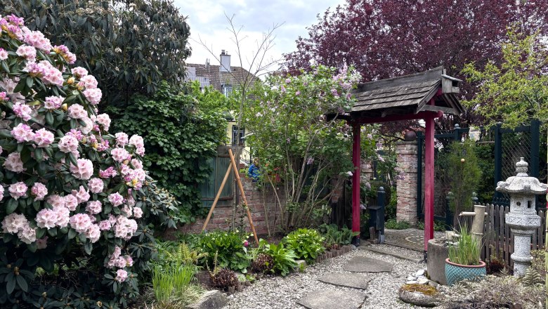 A well-tended garden with flowering rhododendrons, a Japanese torii and a stone lantern decor.