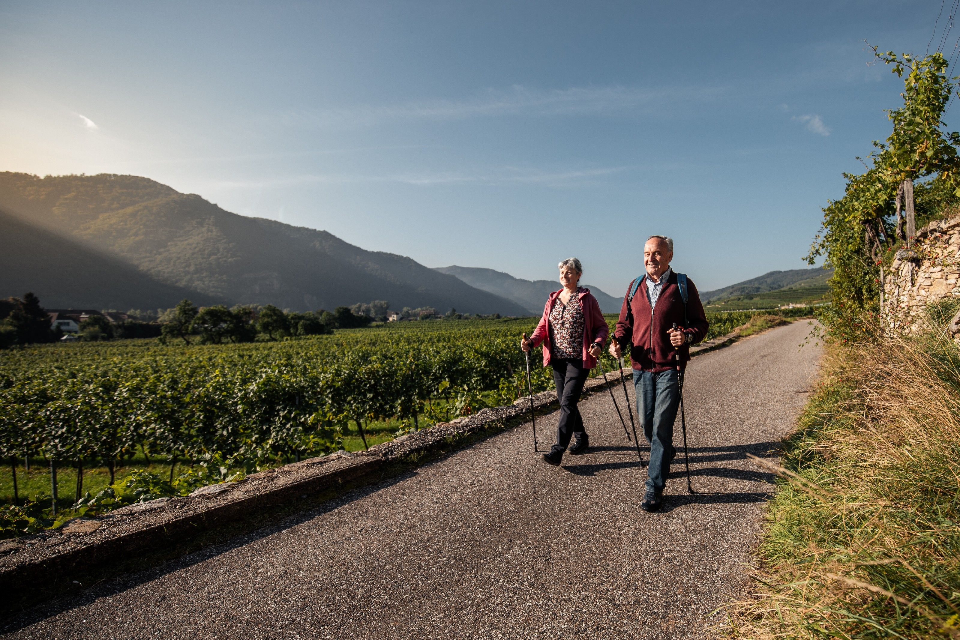An elderly couple walks with sticks on a path through vineyards, with mountains and blue sky in the background.
