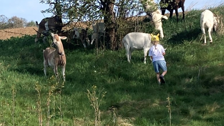 Camping-Finsterhof, &copy; Camping Finsterhof