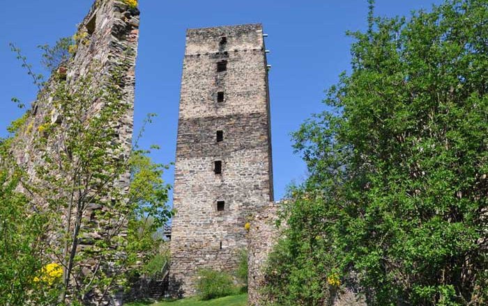 Ruin of a medieval tower with surrounding trees and blue sky.