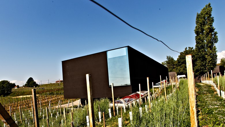 Modern architecture in Fred Loimer's vineyard in Kamptal, © zVg Weingut Fred Loimer