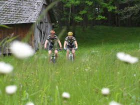 MTB Wiener Alpen, &copy; Wiener Alpen in Nieder&ouml;sterreich
