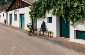 Rad, Weinreise, Weinviertel, © Romeo Felsenreich