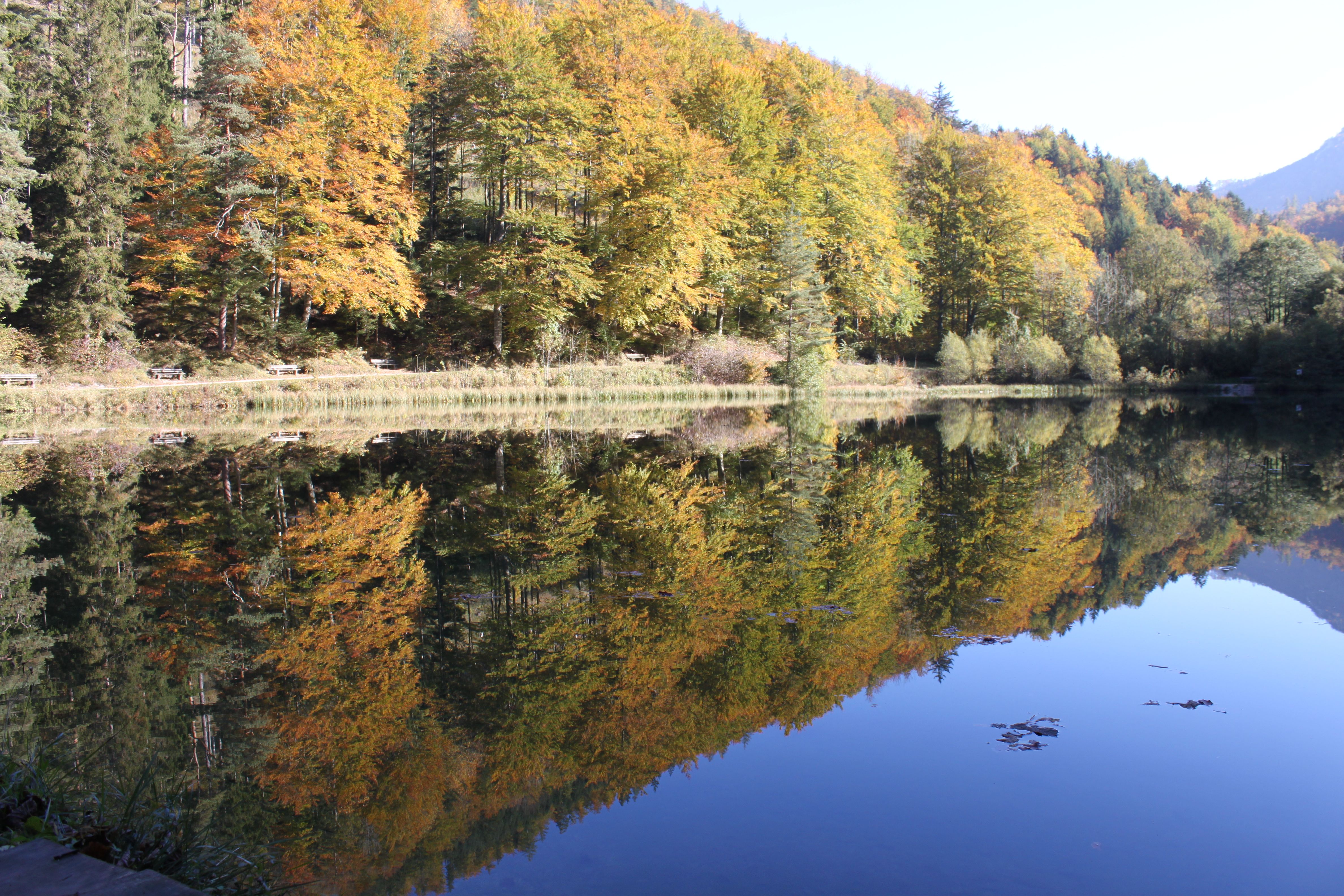 A calm lake reflects autumn-colored trees standing on the shore.