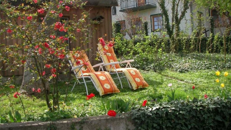 Two garden loungers on a meadow