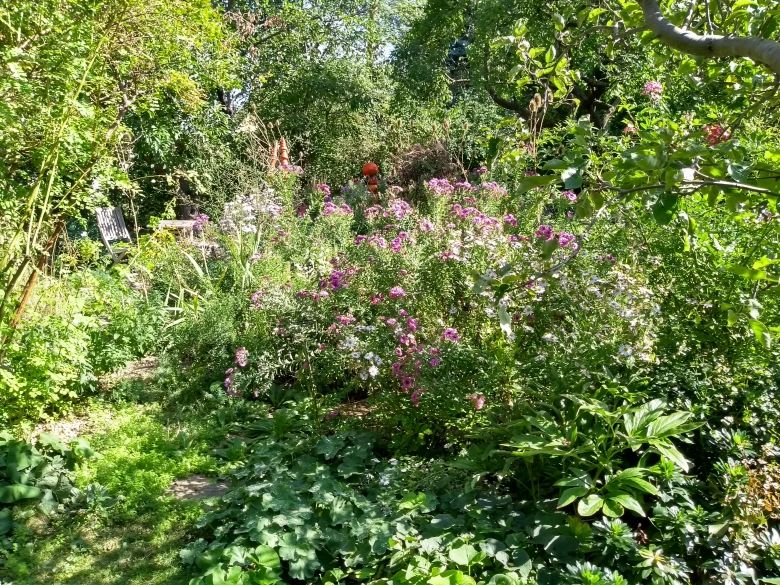A lush garden with colorful flowers and lots of greenery, crossed by a narrow path.