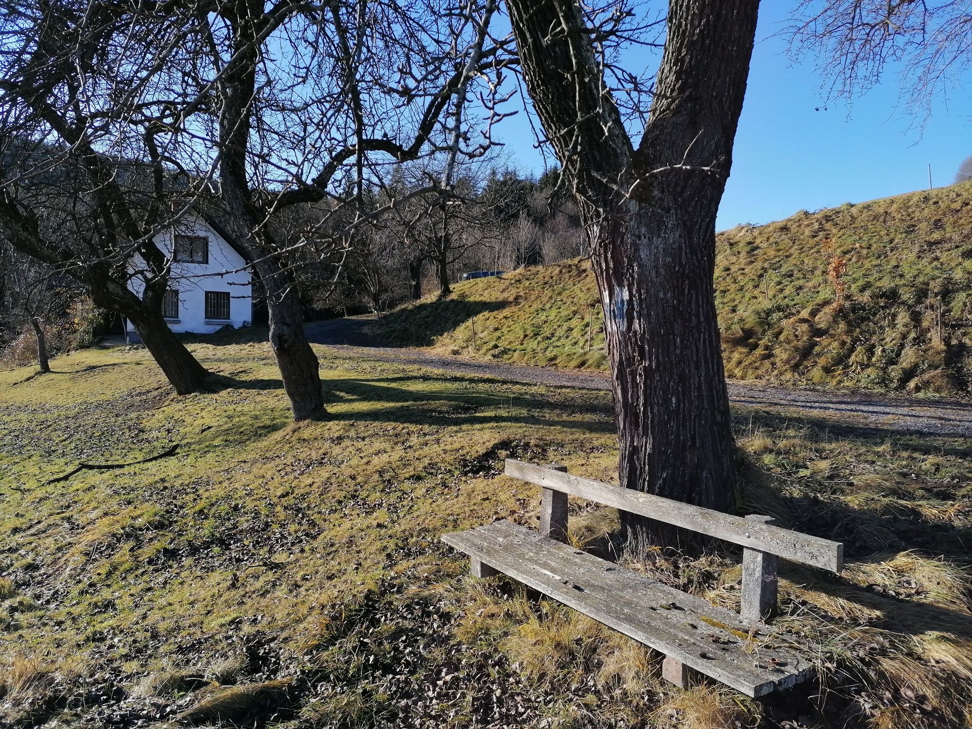 Rest area with blue and white tree markings