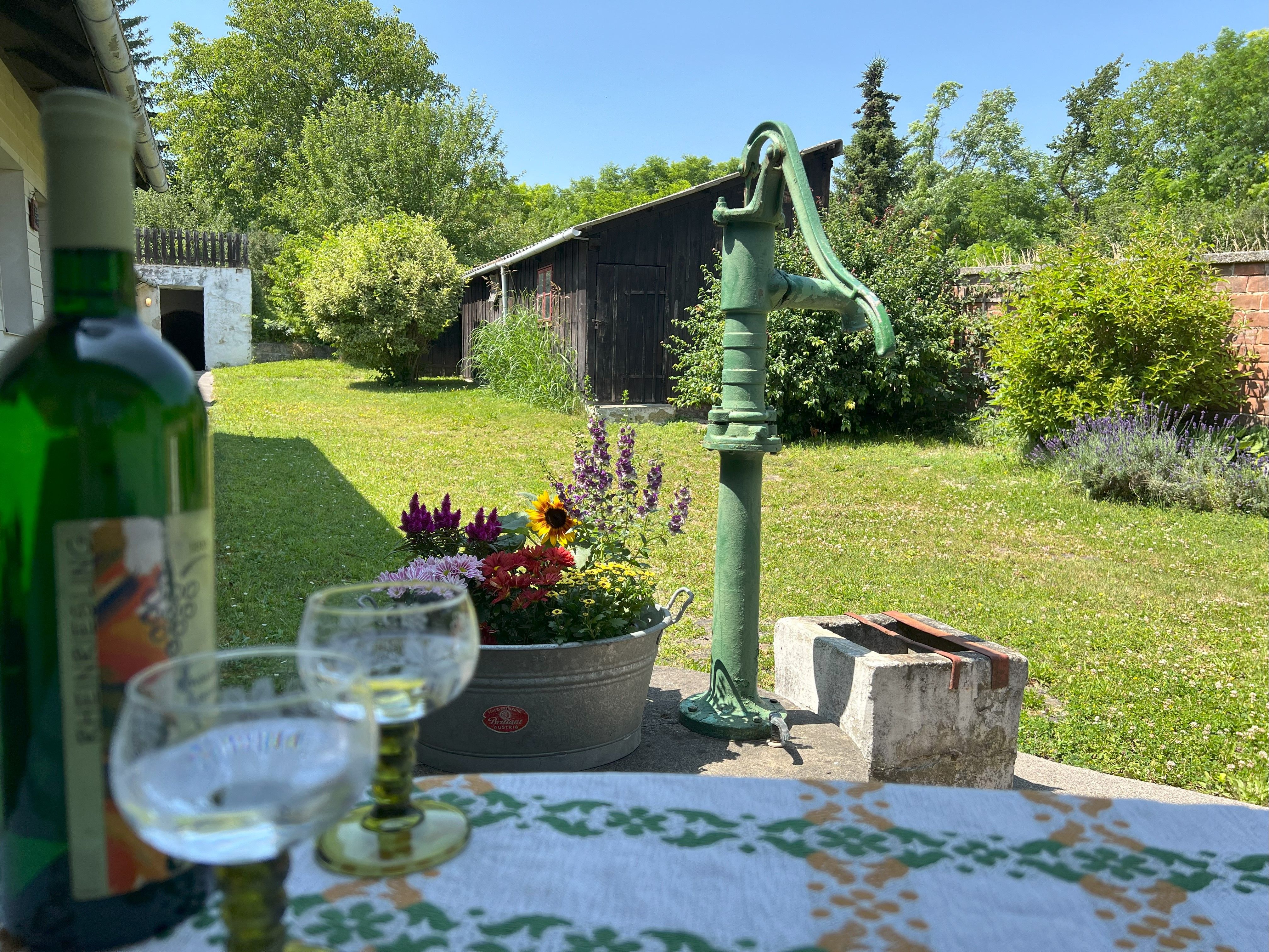 A green courtyard with an old water pump, flowers and a table with wine bottles and glasses.