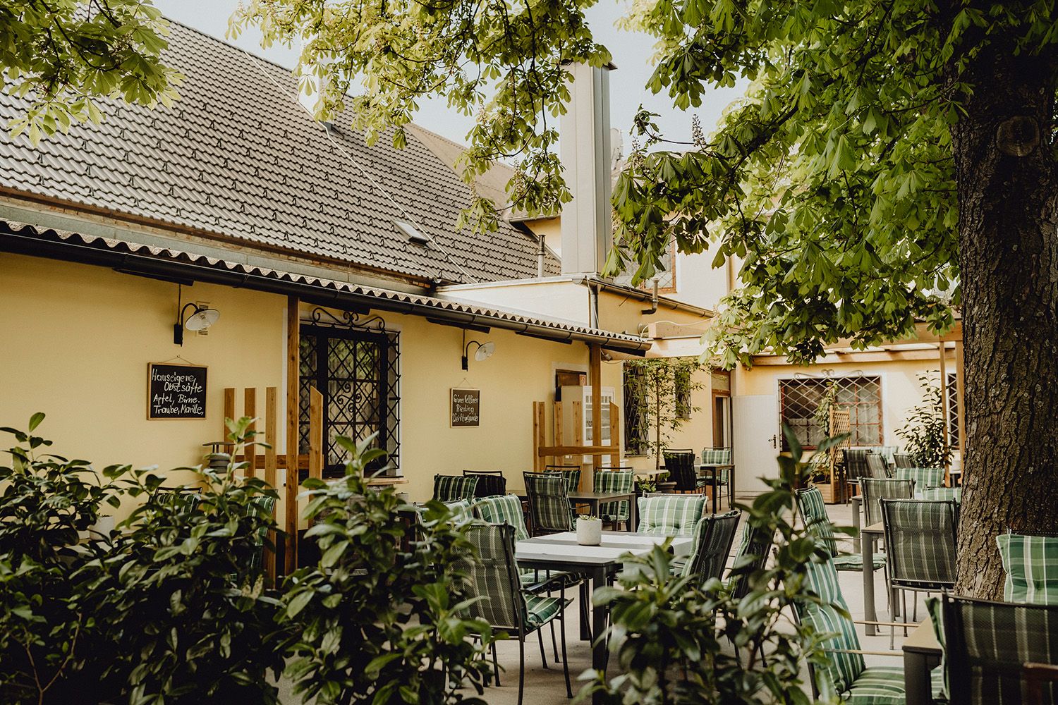 Cozy guest garden of an inn with green chairs and tables under a tree.