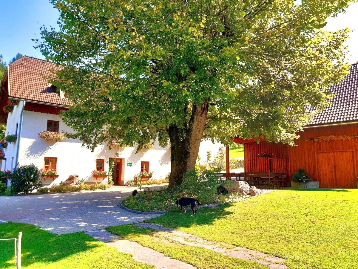 Vacation on the farm-Oberrehau