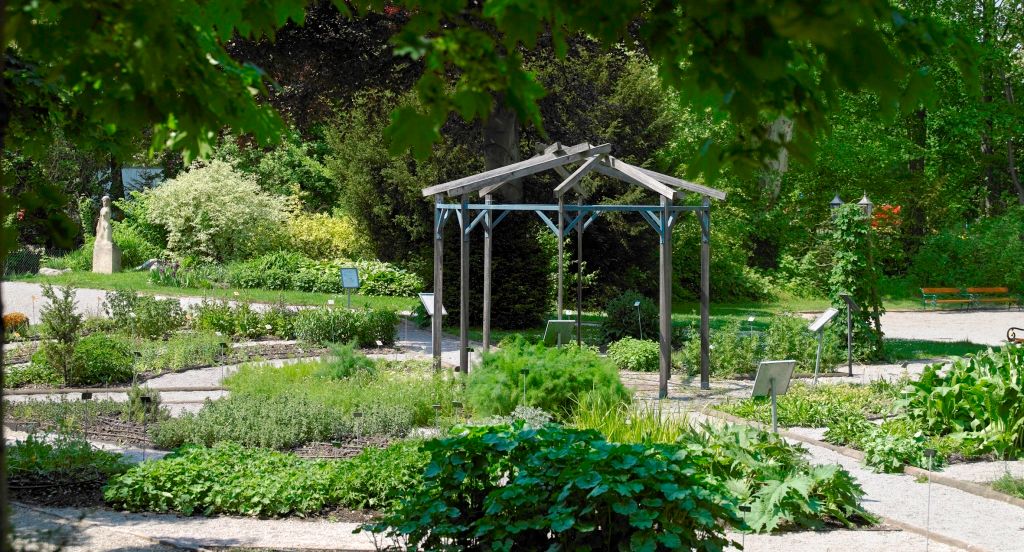 A well-kept garden with a wooden pavilion and various plant beds, surrounded by trees and shrubs.